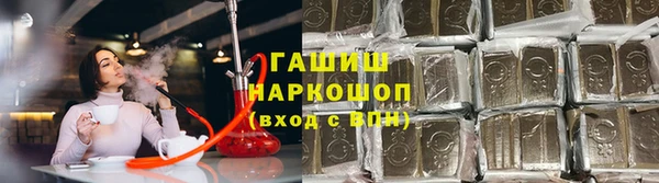 молекула духа Богородицк