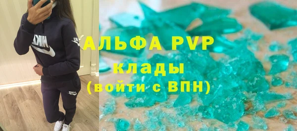 молекула духа Богородицк