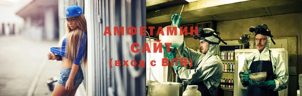 молекула духа Богородицк