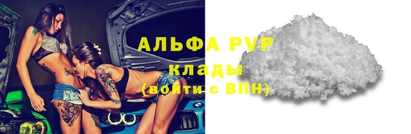 молекула духа Богородицк