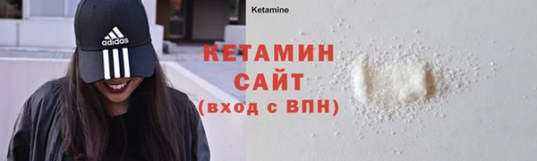 молекула духа Богородицк