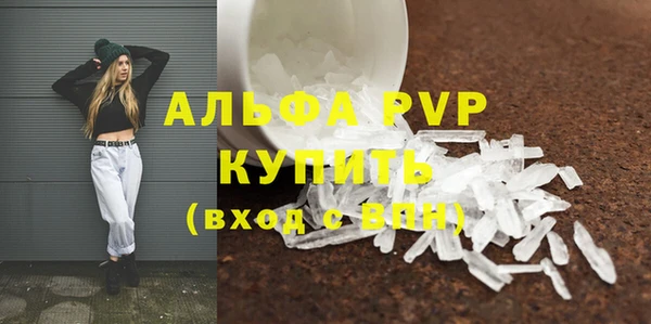 молекула духа Богородицк