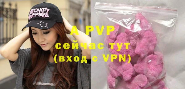 молекула духа Богородицк